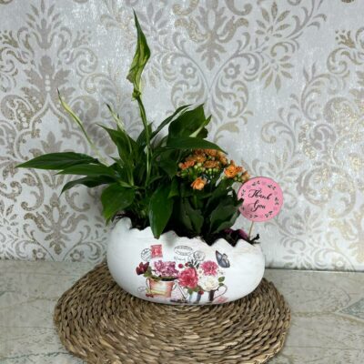 Huevo con Plantas