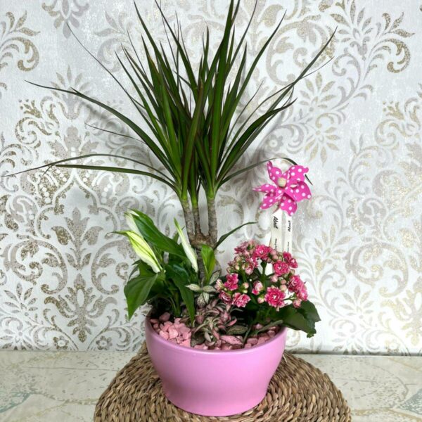 Composición de plantas Rosa