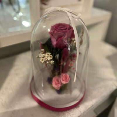 Cúpula rosa preservada