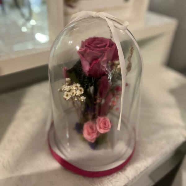 Cúpula rosa preservada